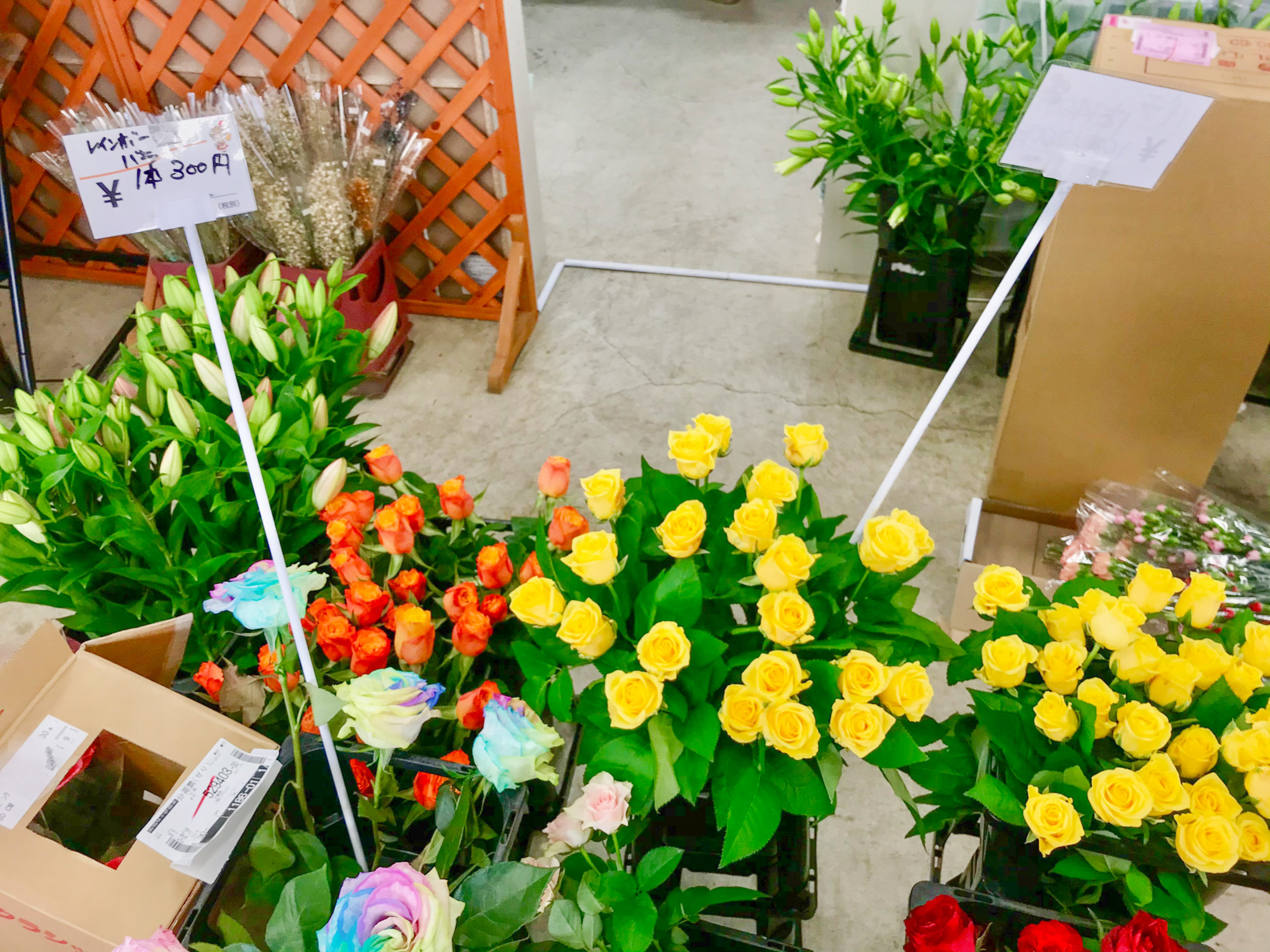 埼玉県でドライフラワー買うなら 大宮フラワーセンター が激安でおすすめ 生花も安い