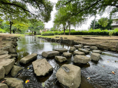 【東大宮親水公園】さいたま市内で子どもが水遊びできる、小さな川のある公園