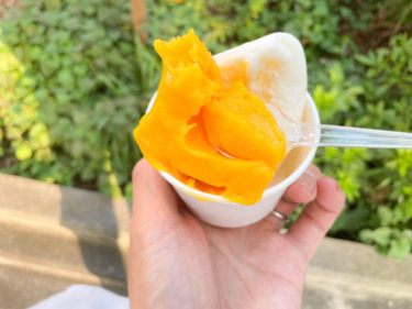 大宮 氷川参道「ugo ウーゴ」の自家製ジェラートが美味しい！